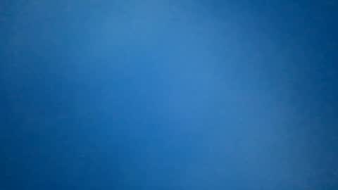 hummelbummel00 online show from February 11, 2026, 7:19 pm