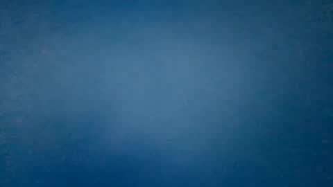 hummelbummel00 online show from February 14, 2026, 6:26 pm