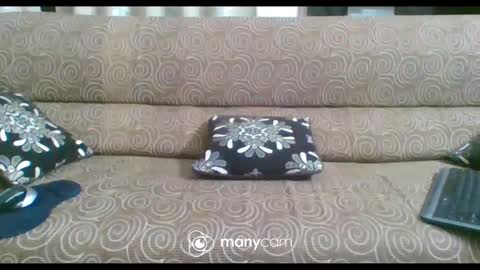 JP online show from February 21, 2025, 6:26 pm