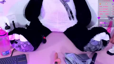 Snapshot of iamstephanie13 chatting on January 23, 2025, 5:56 am Steph - Online Again - 1 DECEMBER online show from January 23, 2025, 5:56 am