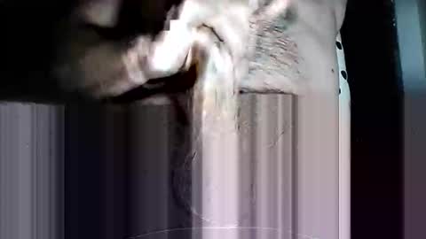 Pat online show from March 11, 2026, 10:10 am