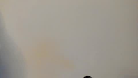 Snapshot of ian_castillo_ chatting on February 24, 2026, 11:08 am IAN CASTILLO online show from February 24, 2026, 11:08 am