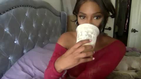 icedcoffeex online show from December 17, 2024, 5:58 pm