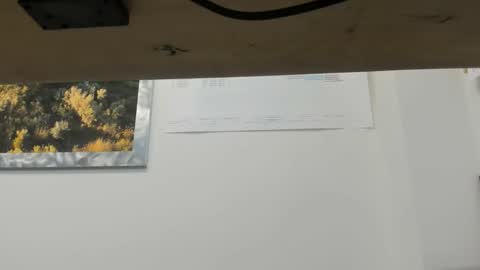 idfunguy2023 online show from December 14, 2025, 11:53 pm