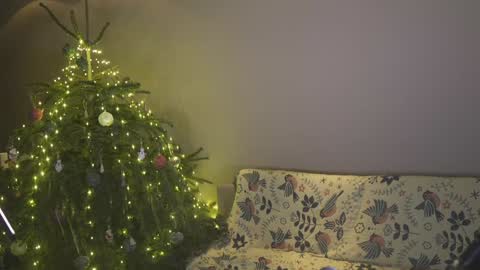 Belle online show from January 4, 2025, 4:11 pm