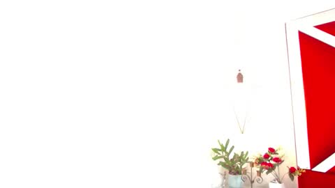 Isabella online show from November 14, 2025, 7:56 pm