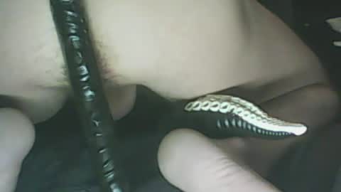 ikercheal online show from January 29, 2025, 2:10 pm