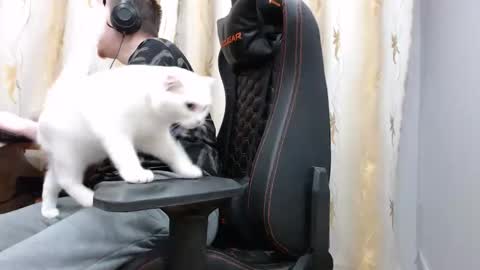 Snapshot of iliaskrisloveee chatting on November 7, 2025, 1:44 pm lord online show from November 7, 2025, 1:44 pm