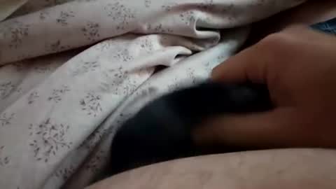 ilovepussy1974 online show from July 27, 2026, 11:28 am