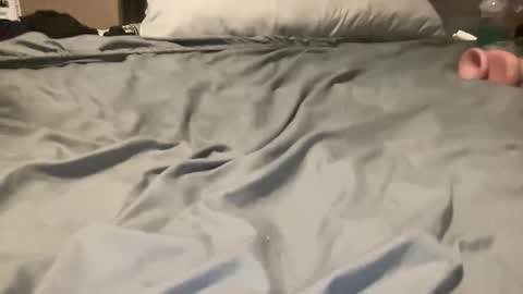 im19phxaz online show from November 10, 2025, 11:15 pm