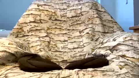 Snapshot of imaginaryvoyage chatting on December 16, 2025, 4:23 pm thanks for visiting online show from December 16, 2025, 4:23 pm