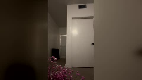 imlightskn online show from April 9, 2026, 6:13 am