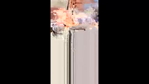 indegeniouscreature online show from December 21, 2025, 11:50 am