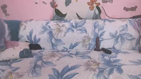 Parul online show from February 1, 2026, 10:47 am