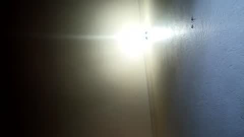 Perky baby online show from July 19, 2026, 8:01 pm
