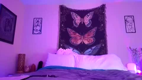 Indigo Bay online show from January 19, 2026, 2:26 am