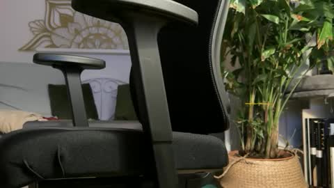 intressiert online show from February 19, 2026, 5:31 pm