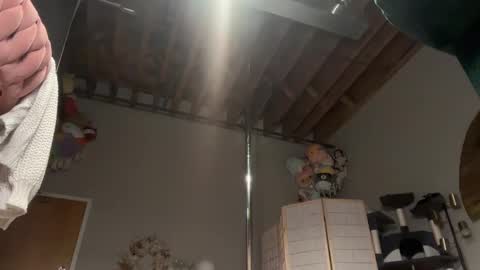 Snapshot of iris_world chatting on February 20, 2025, 3:12 am iris online show from February 20, 2025, 3:12 am