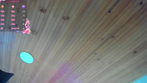 irisbeel online show from April 13, 2026, 3:45 am