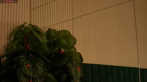 Maria online show from October 31, 2025, 12:55 am