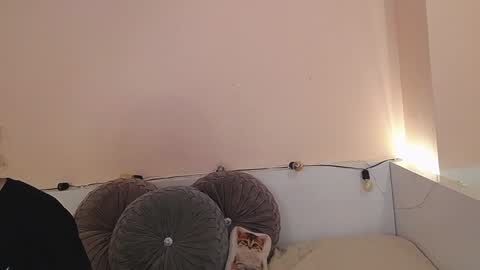 Snapshot of isabella__dark chatting on December 21, 2024, 12:42 am    online show from December 21, 2024, 12:42 am