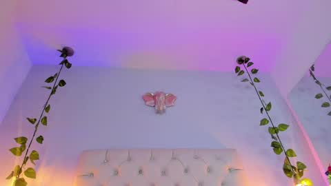 Snapshot of isabella_flowerss chatting on January 8, 2025, 3:19 am online show from January 8, 2025, 3:19 am