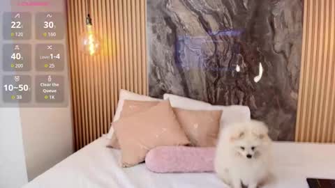 ISADORA online show from October 13, 2025, 2:28 pm