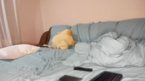 Issabelle online show from November 9, 2025, 7:06 am