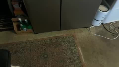 Tony online show from November 3, 2025, 3:24 pm