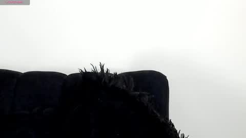 Angelica online show from April 15, 2026, 7:58 pm