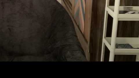 Raje online show from October 29, 2025, 5:42 am