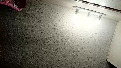 Snapshot of ittybittypritty chatting on November 9, 2025, 11:19 am ittybittypritty online show from November 9, 2025, 11:19 am