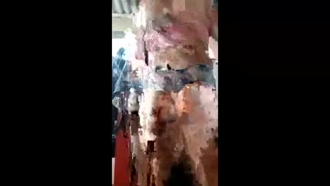 ivanaltrans62 online show from January 11, 2026, 4:50 am