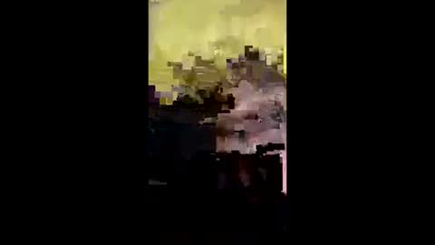 j557894 online show from October 14, 2025, 5:08 am