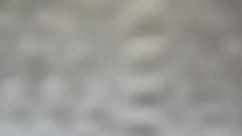 j727551 online show from February 15, 2025, 7:28 pm