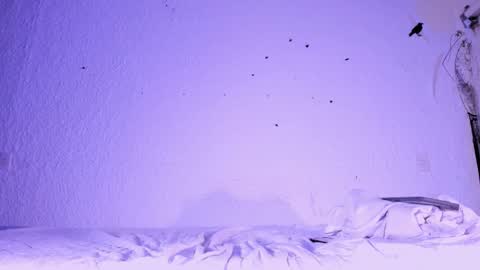 j_martony online show from November 5, 2025, 2:17 pm