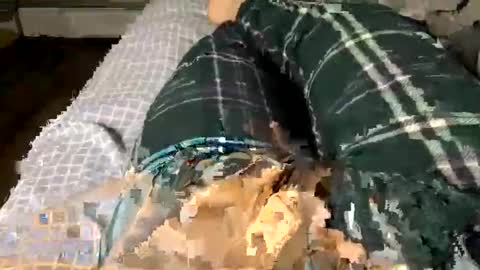 Jaaltar online show from December 3, 2025, 2:41 am