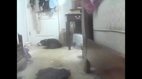 jaburgett1979 online show from October 10, 2025, 3:05 am