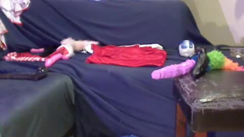 JACKSLUT BUY ME . FAN CLUB MEMBERS AND THOSE WHOM THE MEMBERS INDICATE SISY SLUT PROVIDES THEM  FREE SERVICES online show from December 29, 2024, 2:06 am