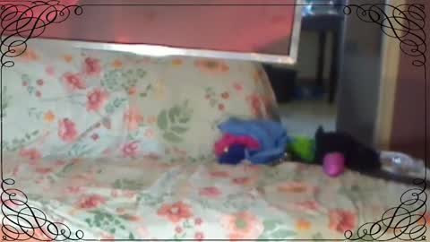 JACKSLUT BUY ME . FAN CLUB MEMBERS AND THOSE WHOM THE MEMBERS INDICATE SISY SLUT PROVIDES THEM  FREE SERVICES online show from March 8, 2025, 9:28 am