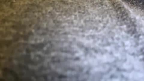 jackjackerman online show from April 15, 2026, 8:09 pm