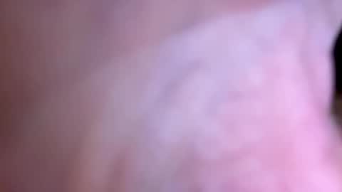 Snapshot of jackjackerman chatting on May 13, 2026, 6:55 am jackjackerman online show from May 13, 2026, 6:55 am