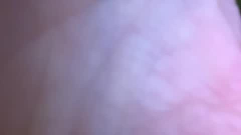 Snapshot of jackjackerman chatting on May 16, 2026, 2:49 pm jackjackerman online show from May 16, 2026, 2:49 pm