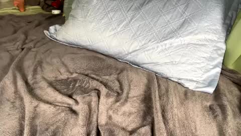 Snapshot of jacksbunnys chatting on January 14, 2025, 11:10 am jacksbunnys online show from January 14, 2025, 11:10 am