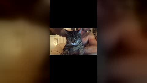 Snapshot of jacobmotes chatting on December 17, 2025, 10:49 pm Jacob online show from December 17, 2025, 10:49 pm