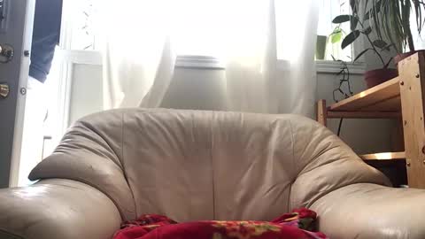 Snapshot of jacobmotes chatting on February 14, 2026, 4:59 pm Jacob online show from February 14, 2026, 4:59 pm