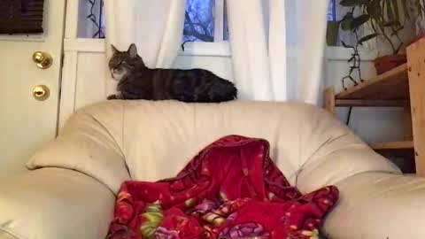 Snapshot of jacobmotes chatting on February 22, 2026, 10:52 pm Jacob online show from February 22, 2026, 10:52 pm