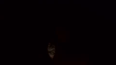 Jamacian online show from March 3, 2025, 10:17 am