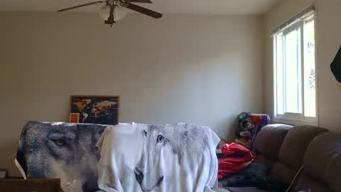 jameswolf777 online show from September 13, 2025, 11:48 pm