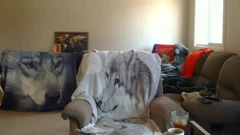 jameswolf777 online show from December 22, 2025, 8:06 pm